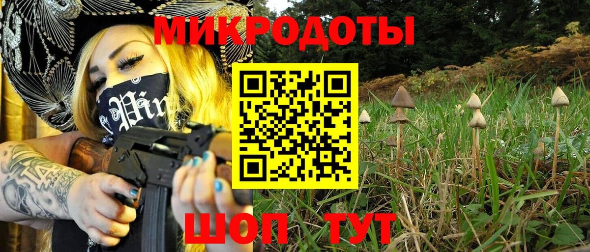 Галлюциногенные грибы Psilocybine cubensis  Вход с VPN  Верхняя Пышма  Галлюциногенные грибы Cubensis 